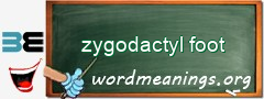 WordMeaning blackboard for zygodactyl foot